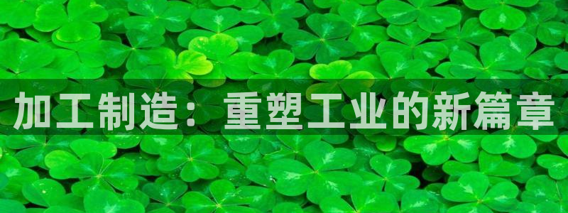 pg电子哪个玩的人最多