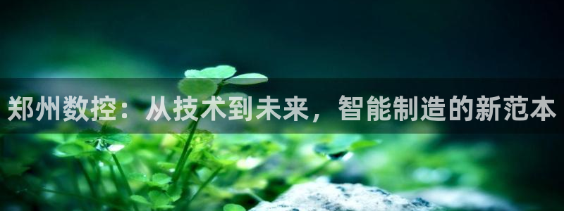 澳门pg电子网站