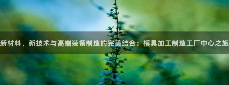 pg电子系列爆分视频