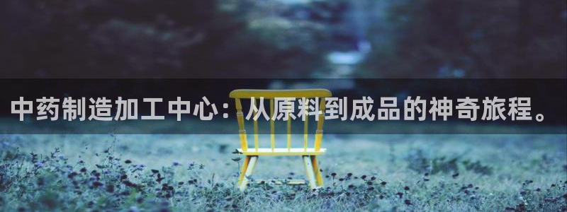 pg电子是谁开发的