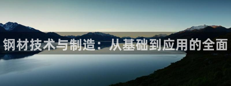 pg电子官方首页311