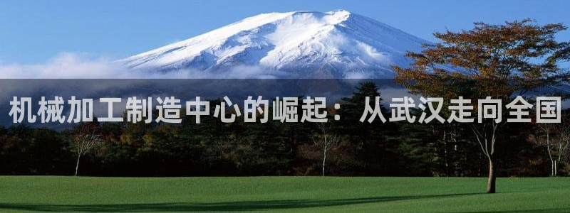 pg电子游戏招财猫视频