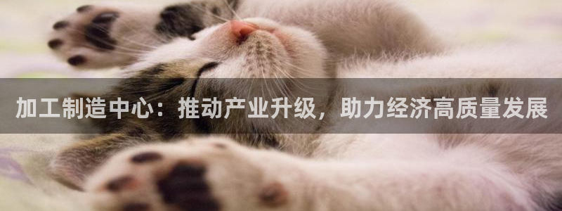 pg电子招财喵爆分照片