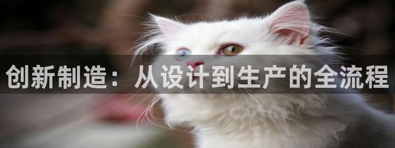 pg电子麻将胡牌规则