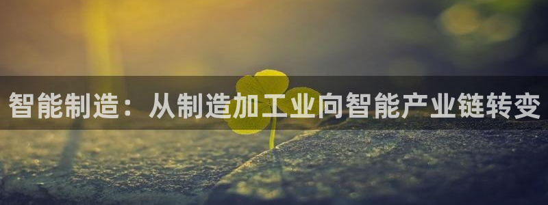 PG报丧说明书电子版