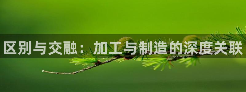 pg电子网址是多少