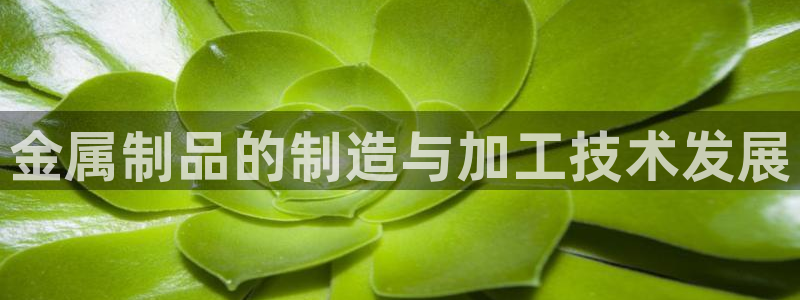 pg电子游戏所有平台