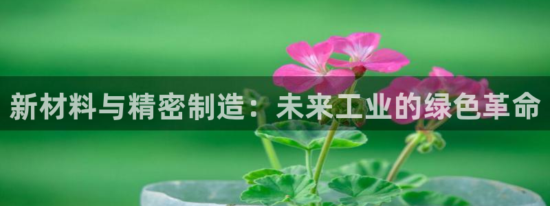 可以玩pg的电子软件