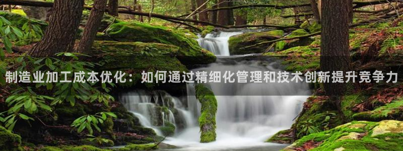 PG电子平台网址是多少