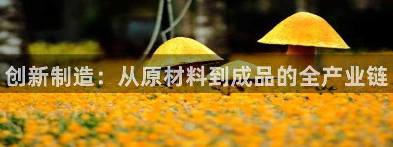 多闪娱乐电子pg