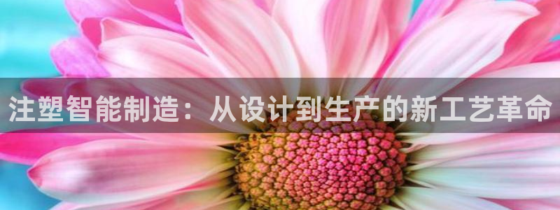 三只猴子pg电子