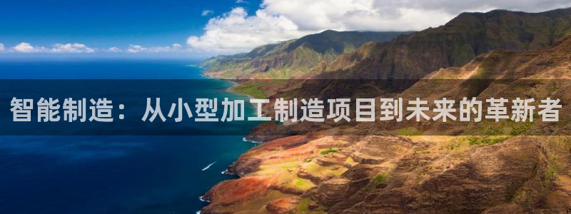 pg电子输了几百万