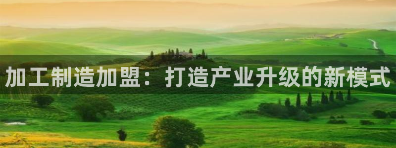 电子游戏爆奖视频pg