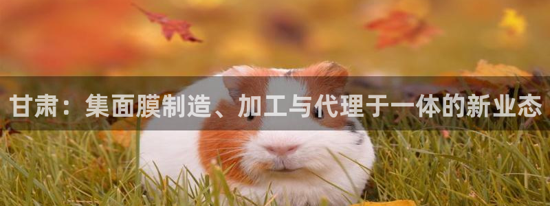 金沙PG电子游戏下载