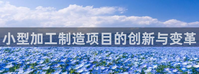 单机pg电子游戏