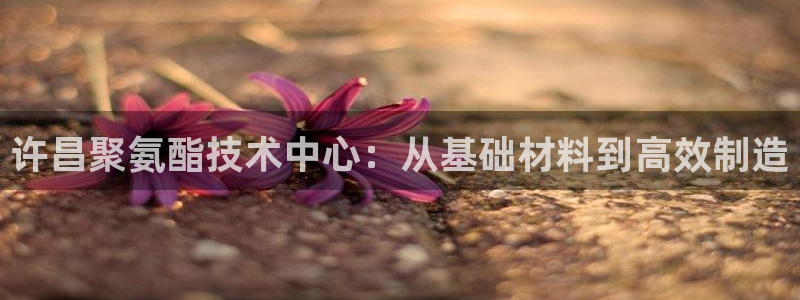 PG电子手机版下载