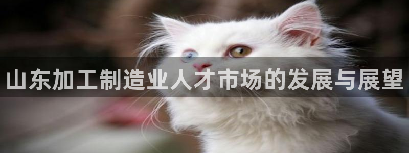 pg电子爆分时间段